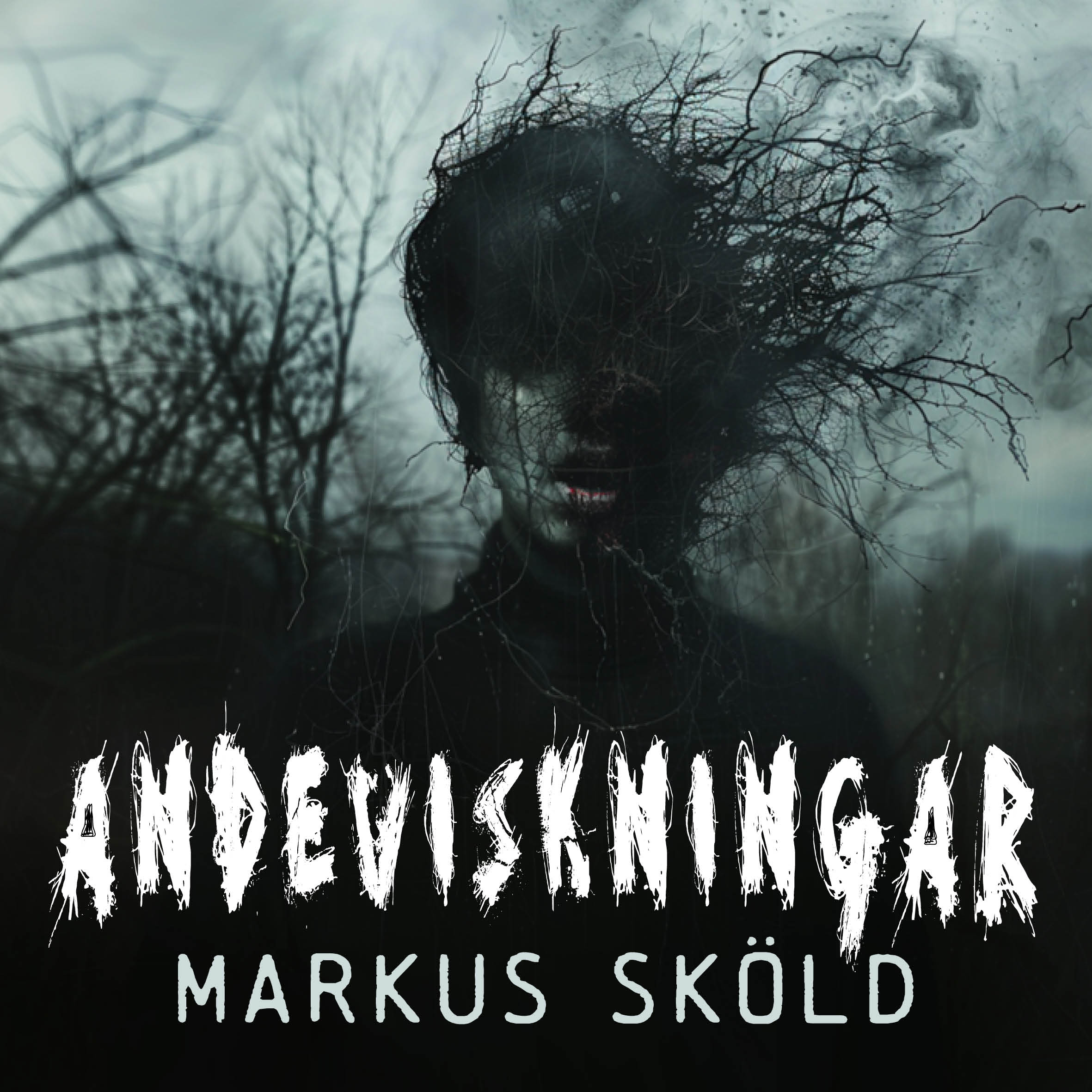 Omslag till Andeviskningar